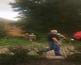 Видео: в Орле пламя охватило хозпостройки на Выгонке1533709909