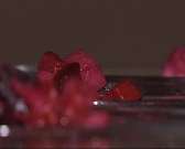 Пища для души и тела.