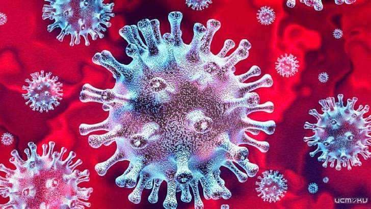 Число летальных случаев растет: умерли еще две орловчанки с COVID-19