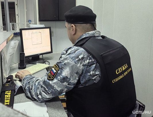 Орловские приставы отчитались о выдворении нелегальных мигрантов 