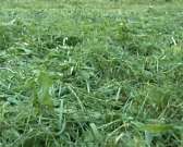 Ремонт дорог, вывоз мусора, покос травы. Руководители города проехались по проблемным точкам областного центра