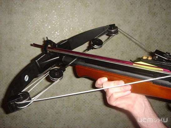 20-летний амчанин, убивший из арбалета своего знакомого, признан невменяемым