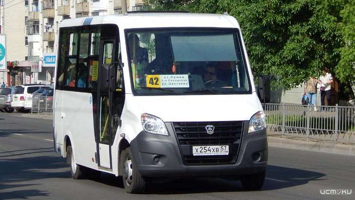 Орловским перевозчикам не дадут работать по свободному графику