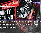 На пешеходной улице Ленина был замечен ночной гонщик, а на Орловщине ищут пропавшего в Красноярске ребенка