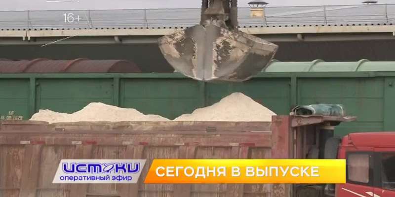 Уничтожение деревьев, приют для животных-инвалидов – сегодня в программе «Оперативный эфир»