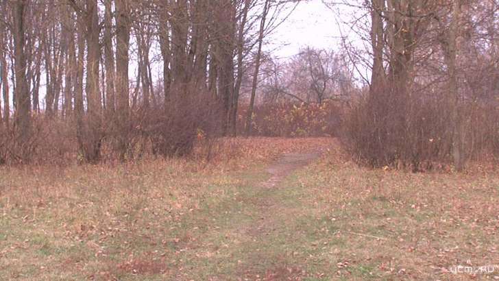 Ветеран труда просит орловчан проголосовать за всеми забытый парк Победы