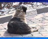 В эту пятницу Орел ждет большое событие-премьера фильма "Гостишка"