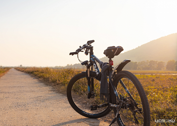 В Орле 5 июня пройдет "Велодень"