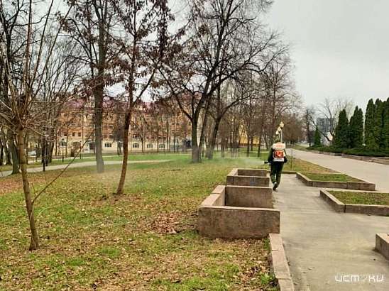 В Орле парки закроют на обработку