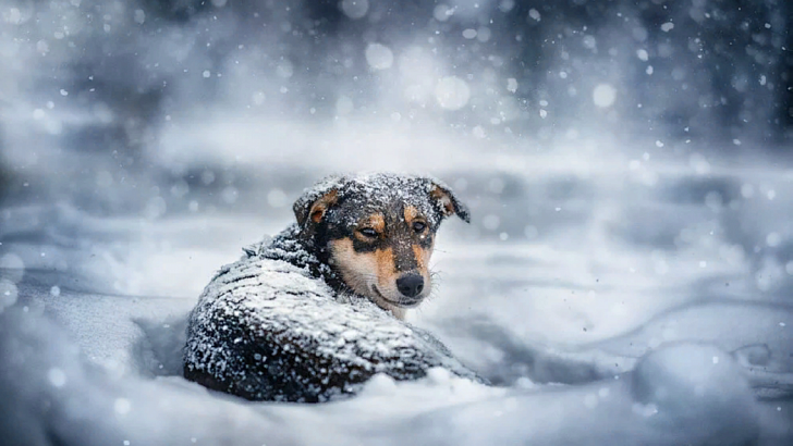 Сегодня в Орле возможен небольшой снег