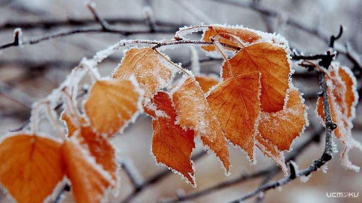 0 °C и снег с дождем: в Орле продолжает хозяйничать циклон