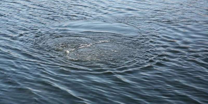 49-летний мужчина утонул во время купания в Орлике