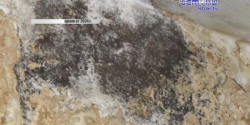 УК "Умный дом", лишилась лицензии