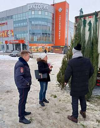 В Орле устроили облаву на нелегальные ёлочные базары