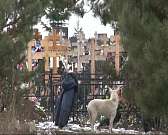 Могилы на будущее: на Наугорском кладбище в Орле заранее занимают участки под захоронения