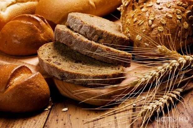 Сегодня будет работать выставка, посвященная 120-летию Шатиловской сельскохозяйственной опытной станции