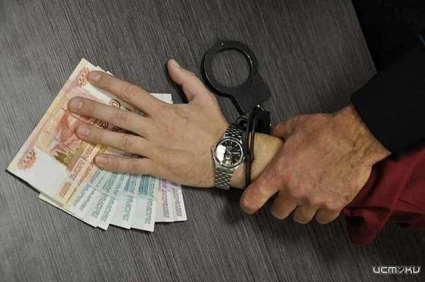 В Орле декана факультета агробизнеса ОГАУ поймали на взяточничестве