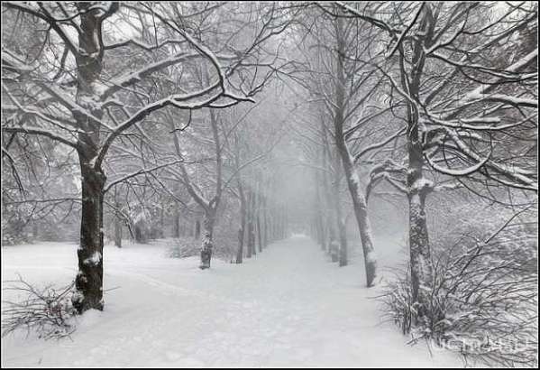 Первый рабочий день на этой неделе будет пасмурным, но теплым