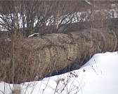 Теплотрасса в Орле отапливает улицу вместо квартир: видеосюжет