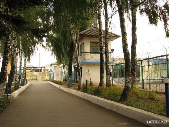 В Орле осудят группу лиц за мошенничество в особо крупном размере