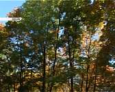 Новости за 90 секунд: пропавшего три дня назад грибника нашли, орловчане начали подавать заявки на получение жилья эконом-класса, а наша область сможе...