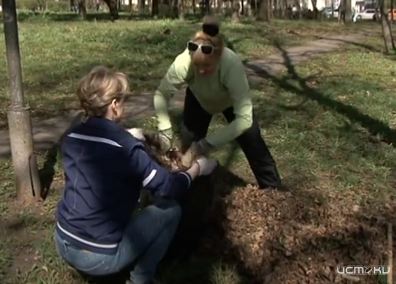 Субботник в Орловской области пройдет 24 апреля