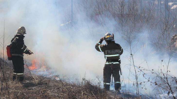 Более миллиона рублей заплатят орловчане за поджоги сухой травы и мусора