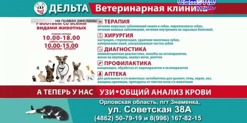 Губернатор Клычков горюет об упавшем дубе, пл. Жукова прошла приемку, а мэр Юрий Парахин оказался последним в рейтинге российских градоначальников. Об...