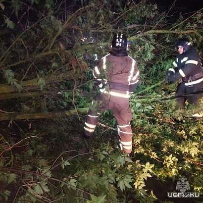 Поваленные деревья, повреждённые машины, отсутствие электричества. Последствия непогоды на Орловщине Поваленные деревья, повреждённые машины, отсутствие электричества. Последствия непогоды на Орловщине