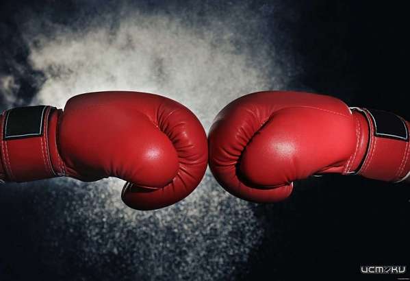 Завтра в Орле будет дан старт Первенству СШ “Боевых искусств” по боксу “Внуки героев Победы”