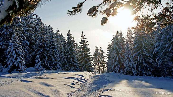 То морозы, то оттепели: зима удивит орловчан переменчивостью