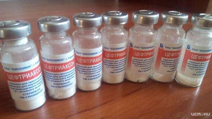 Клычков пообещал орловчанам, что в праздники проблем с антибиотиками не будет