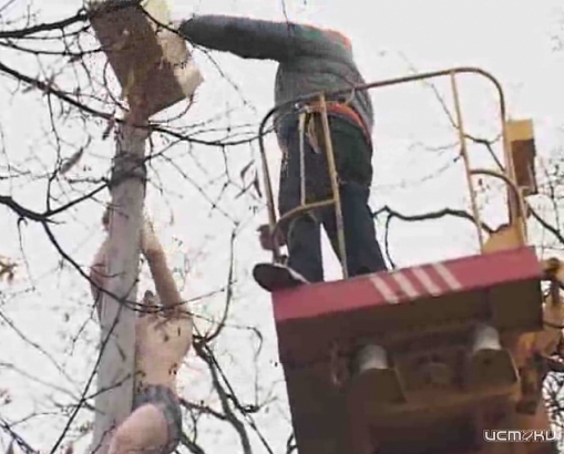 Завтра на Масленницу в орловском парке залезут на столб