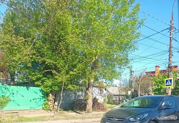 «Истоки» определи нового народного корреспондента недели 