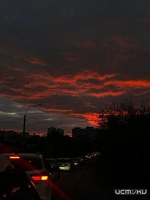 28% орловчан считают себя абсолютно счастливыми