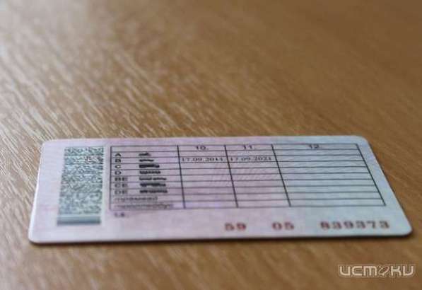 За три месяца почти 700 человек в области лишились прав