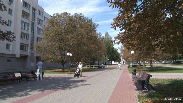 Почти полмиллиона рублей в Орле потратят на избавление каштанов от вредителей 