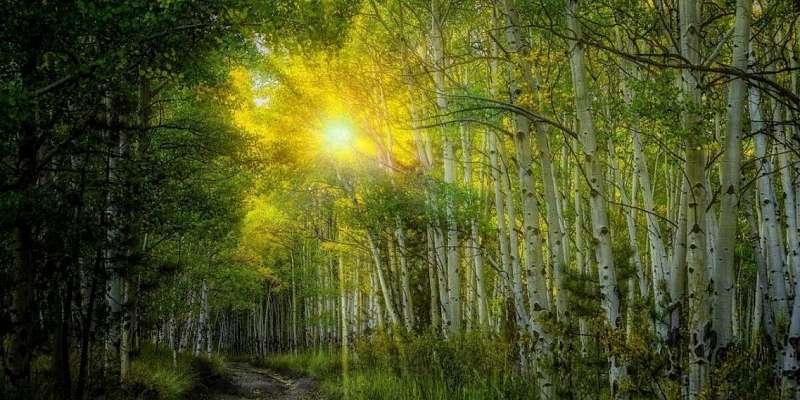 В воскресенье в Орле будет жарко