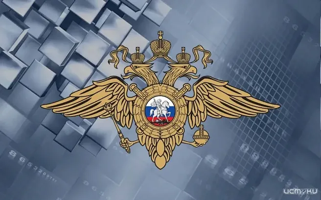 Сотрудники орловского УМВД раскрыли кражу телефона местной жительницы