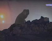 Откройте для себя Таймыр: фотовыставка Дениса Гаськова открылась в Доме‑музее В. А. Русанова - бесплатно и увлекательно!
