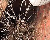 Новости за 90 секунд: еще одно авто провалилось под асфальт, у регионального ФСИН появилось свое знамя, а бюджетные средства продолжают использовать н...