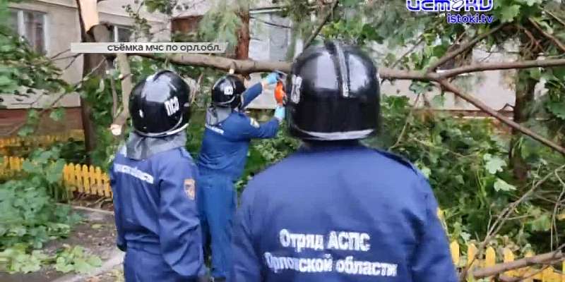 Настоящий ураган проверял на прочность конструкции и зеленые насаждения.