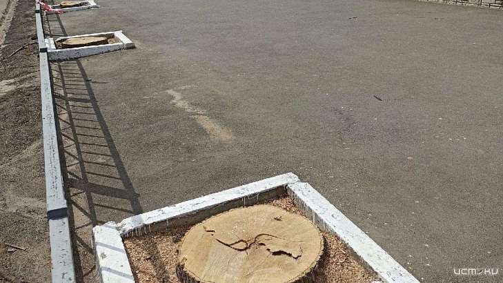 Где не надо-пилят, где надо-нет