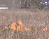 Совершают подвиг каждый день. Орловские сотрудники МЧС отметили День пожарной охраны