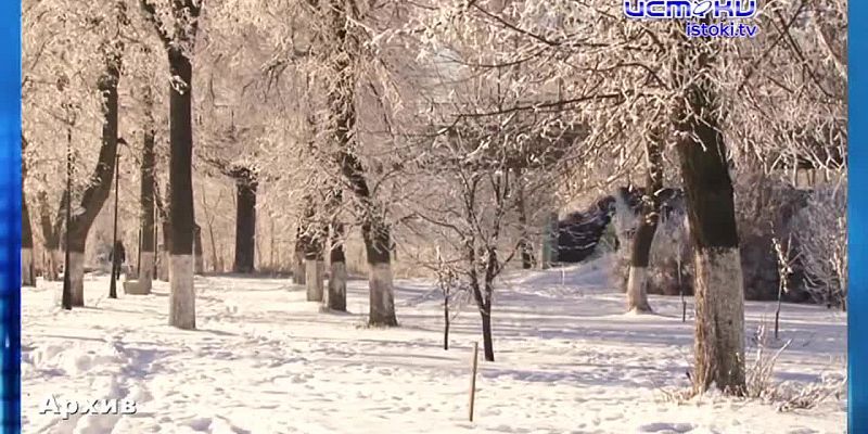 Экспресс - новости. Новый ФАП.
