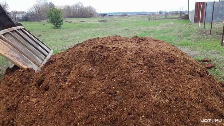 ООО «АПК Юность» завалило участок под Орлом отходами, что привело к появлению кишечной палочки