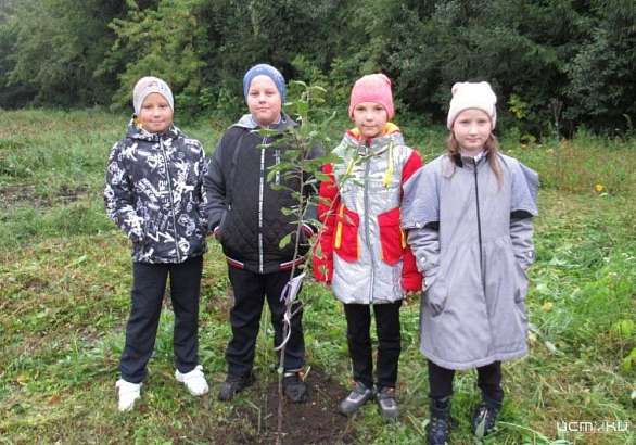 В честь 85-летия образования Орловской области в Свердловском районе заложили яблоневый сад