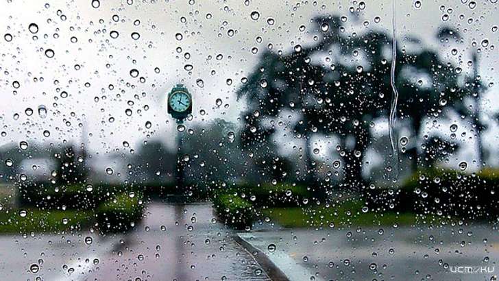 В Орле воскресенье будет прохладным и сырым