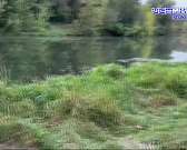 В минувшую пятницу в областном парламенте прошло заседание Орловского областного совета народных депутатов.