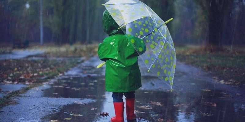 На Орловщину надвигаются пасмурная погода и дожди